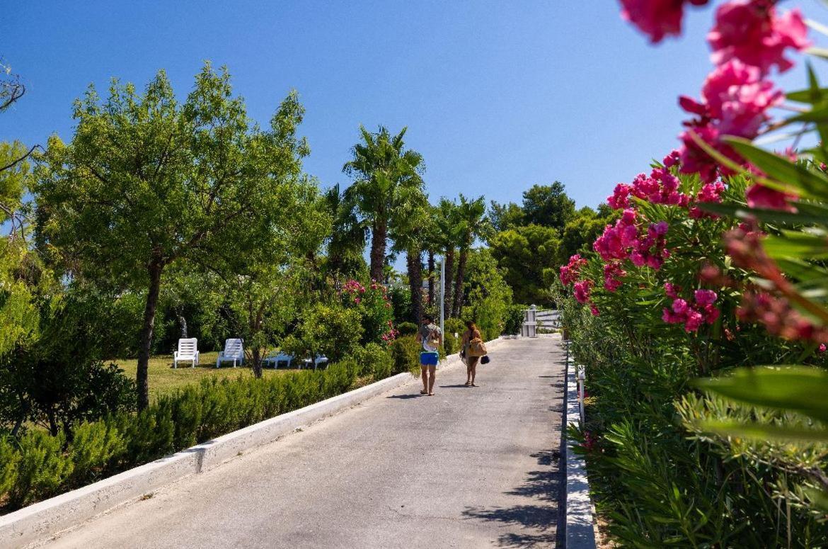 Aria Di Mare Vieste - Luxury Apartments By The Sea Dış mekan fotoğraf