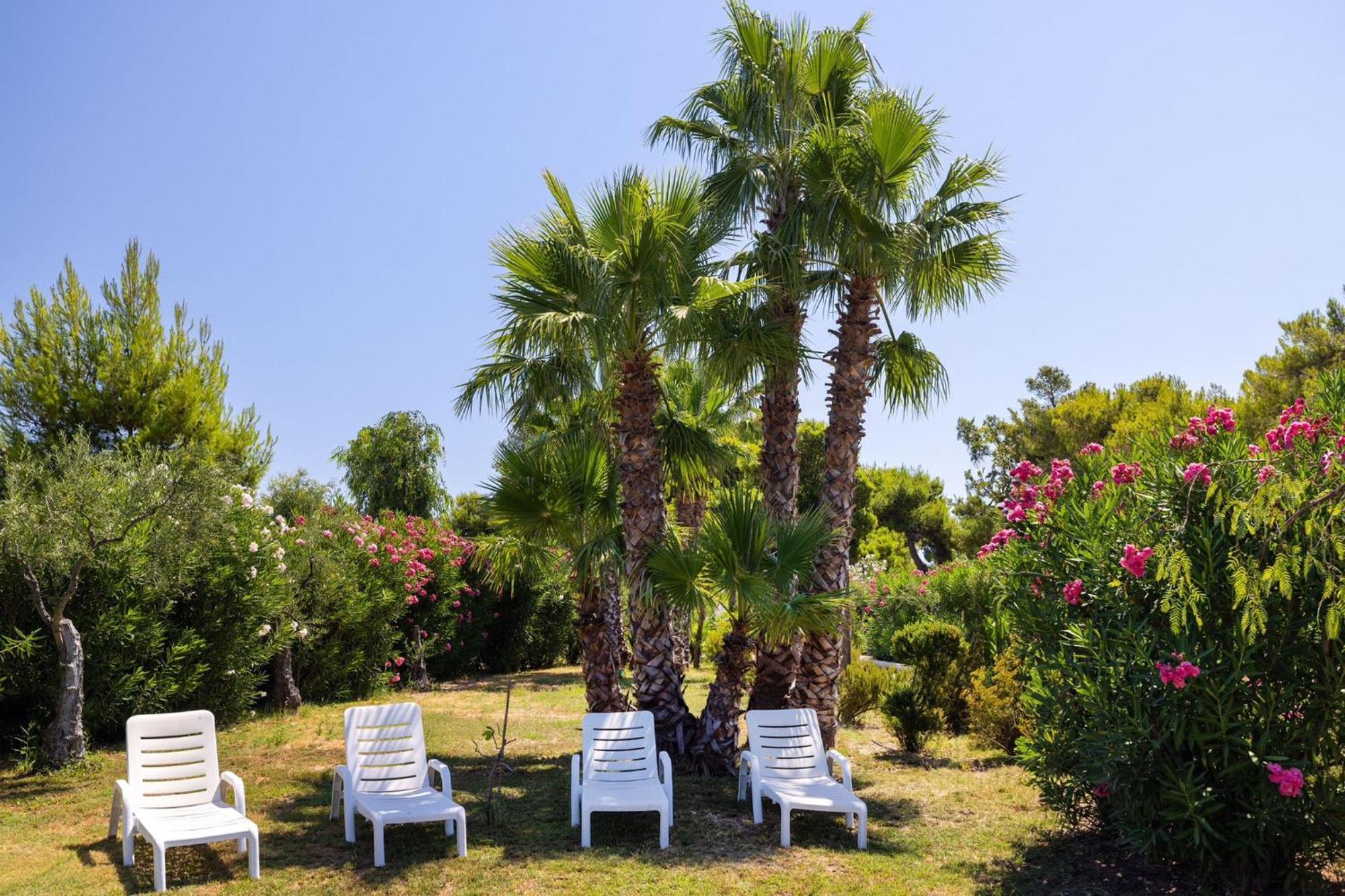 Aria Di Mare Vieste - Luxury Apartments By The Sea Dış mekan fotoğraf